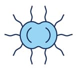 Adverse reactions to dyed productions, latex, or other allergens