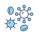 Viruses